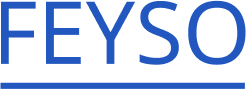 logo feyso store
